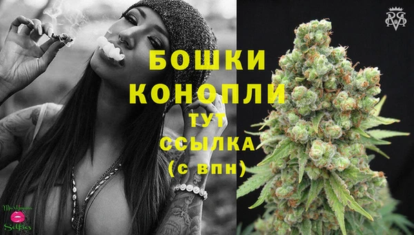 гашик Ладушкин