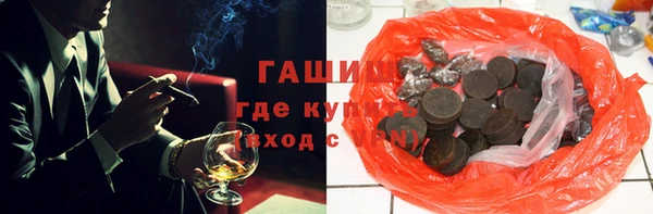 гашик Ладушкин