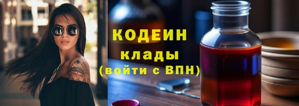 гашик Ладушкин