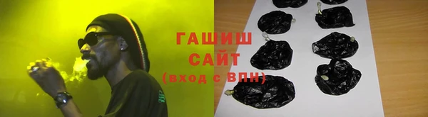 гашик Ладушкин