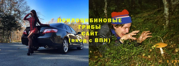 гашик Ладушкин