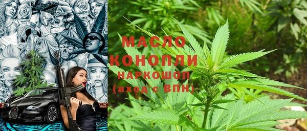 гашик Ладушкин