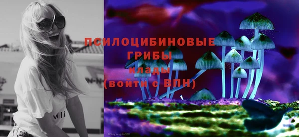 метадон Лагань